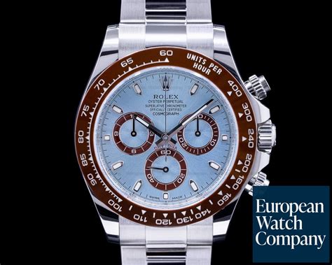 rolex daytona brown and blue|Rolex daytona price new.